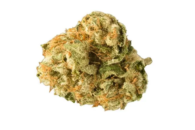 Northern Lights