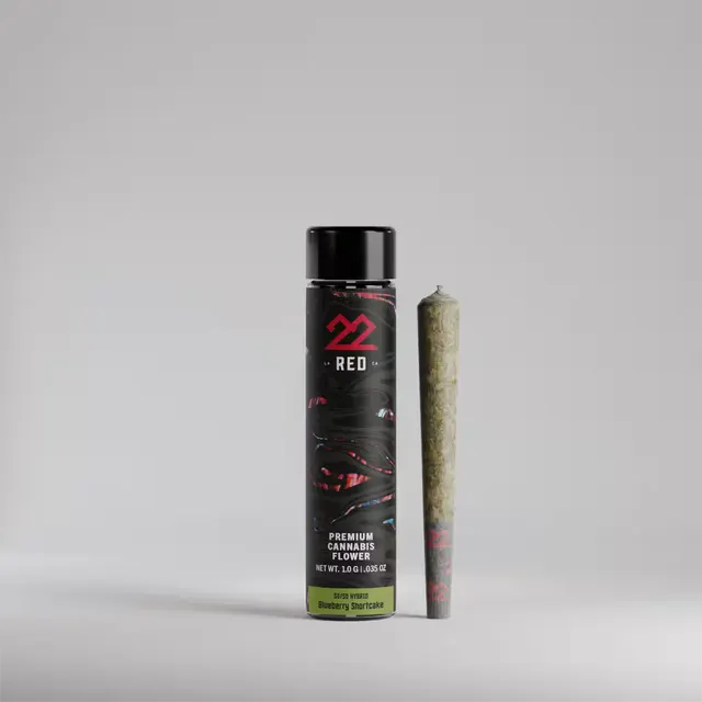 BrainFizz