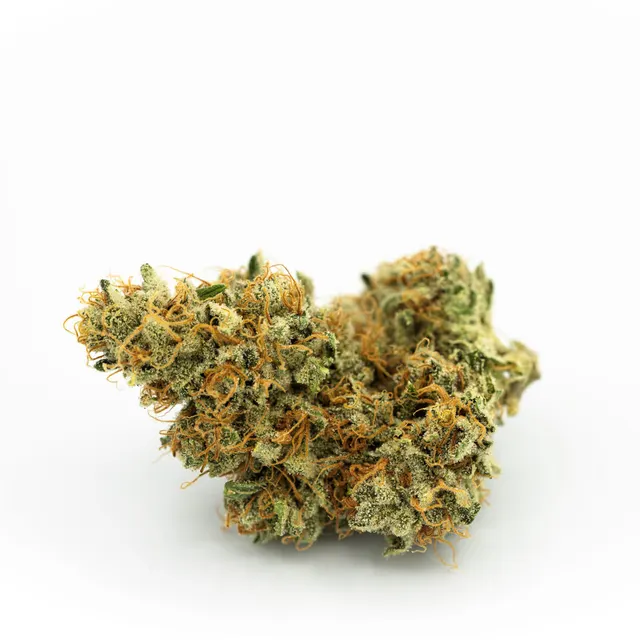 9LB Hammer Flower