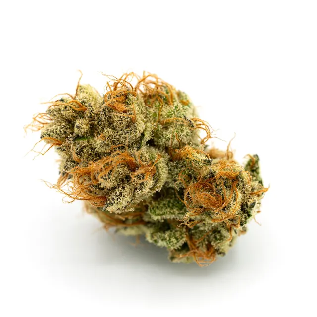 Cactus Breath Flower
