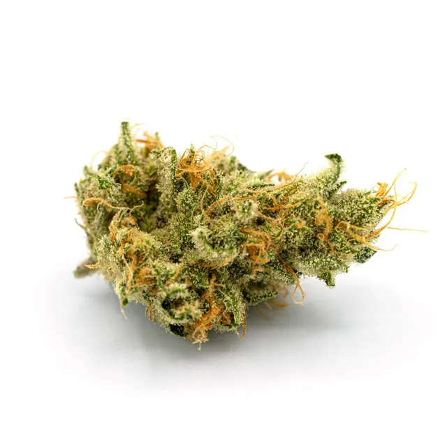 Grand Daddy Purple Flower