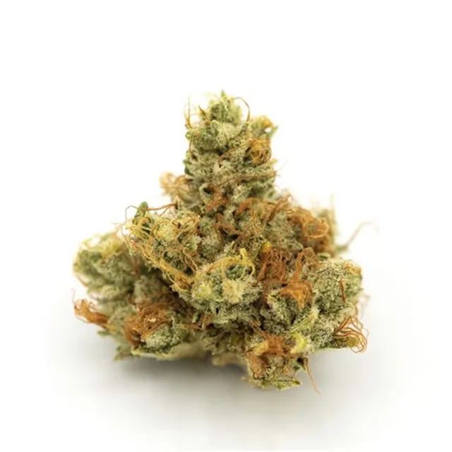 J.O.M.O Flower