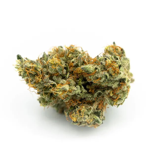 Kush Sorbet Flower