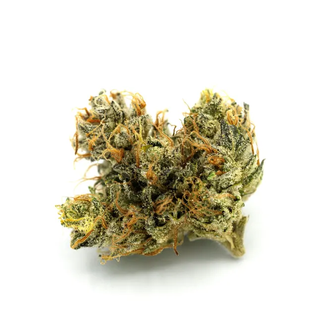 P #42 Flower