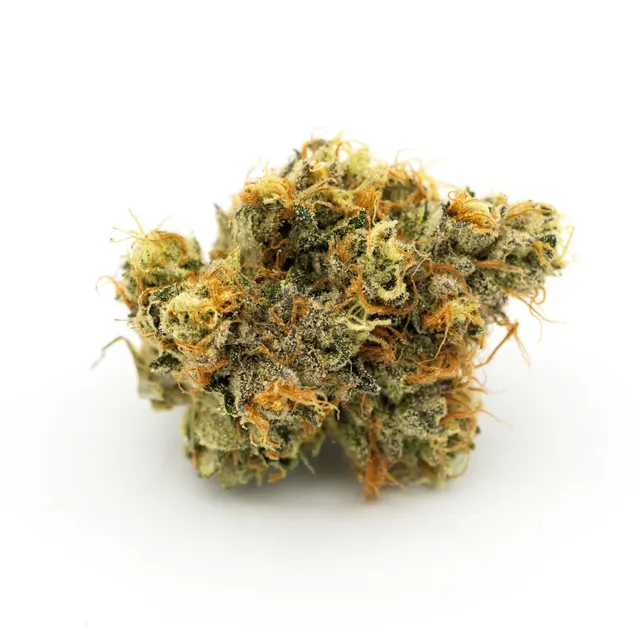 Scotch Bacio Flower