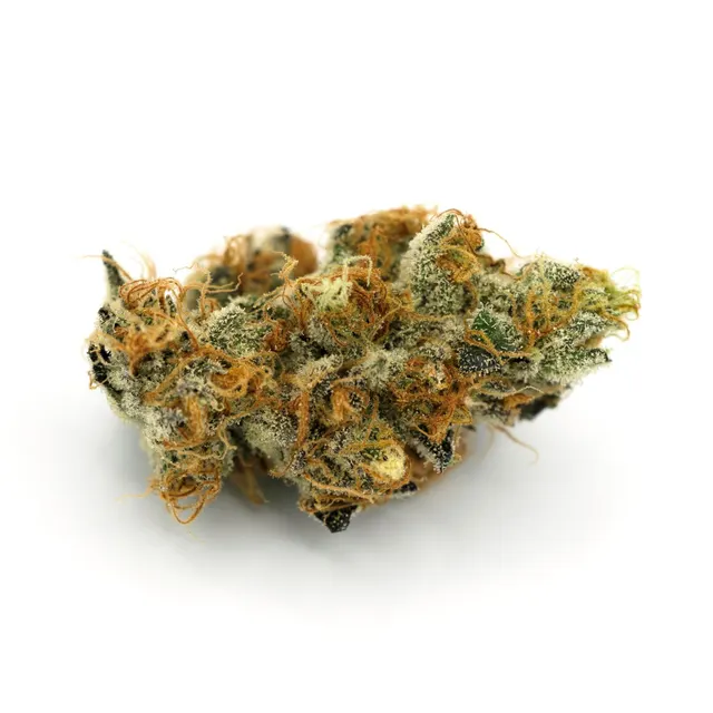 Sugar Puss Flower