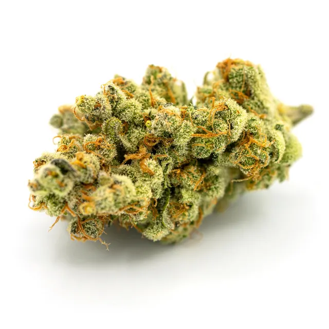 Timewreck Flower