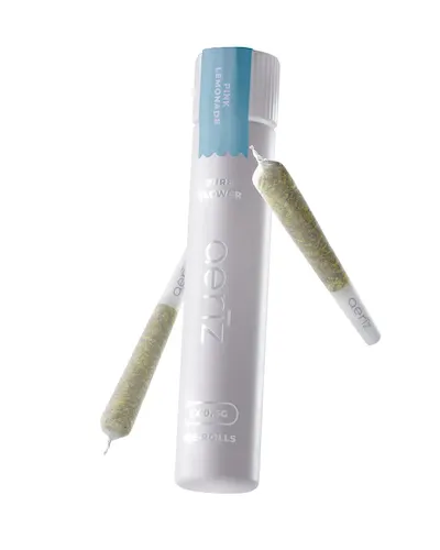 AERIZ - PREMIUM - PREROLL - 0.5G - 2PK - WARHEADZ - HYBRID