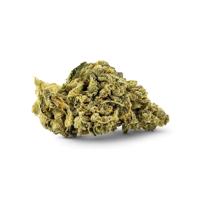 Durban Poison Flower