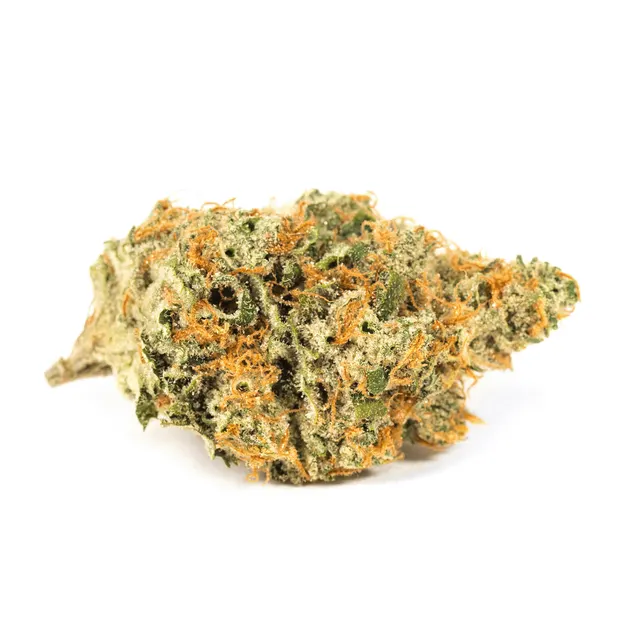 Jenny Kush Flower