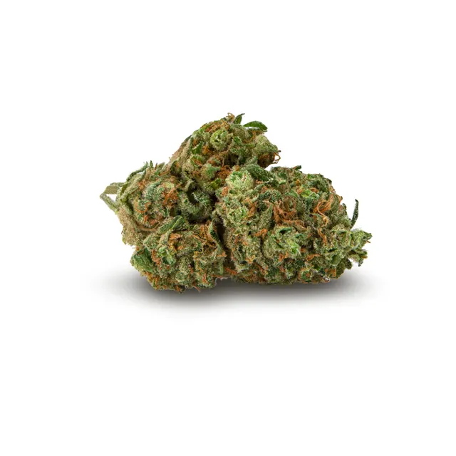 Jungle Juice Flower