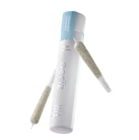 Rainbowz 2 Pack Pre-Rolls (2x0.5g)