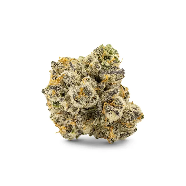 White Widow Flower
