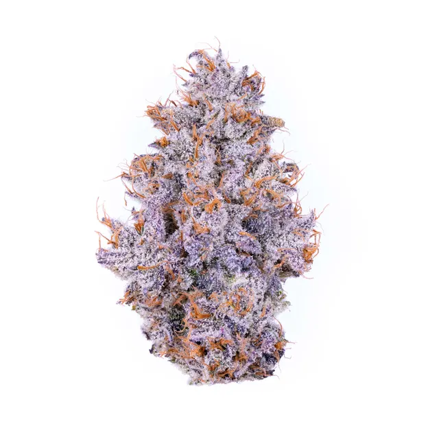 Biskante Flower
