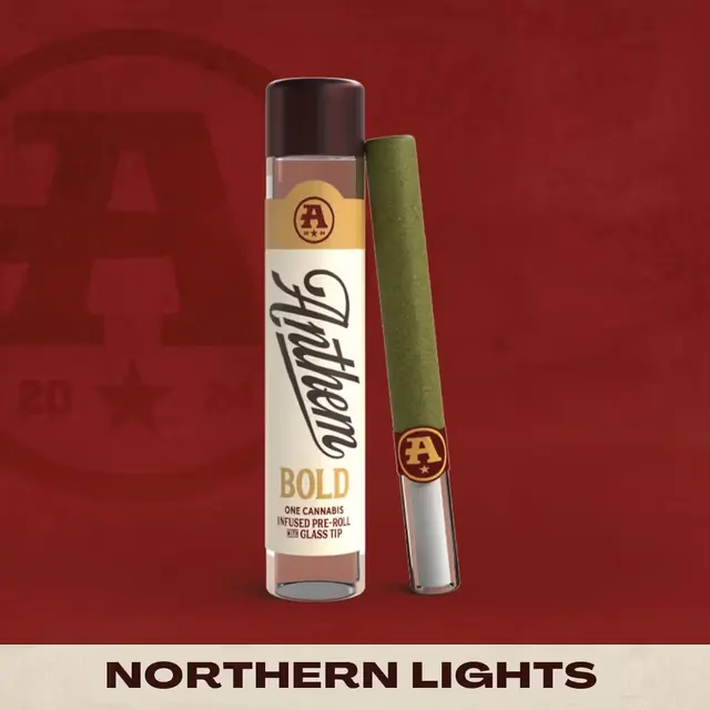 Northern Lights