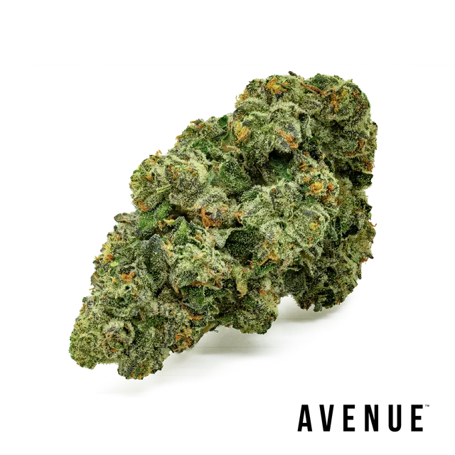 DJ Short Blueberry Flower