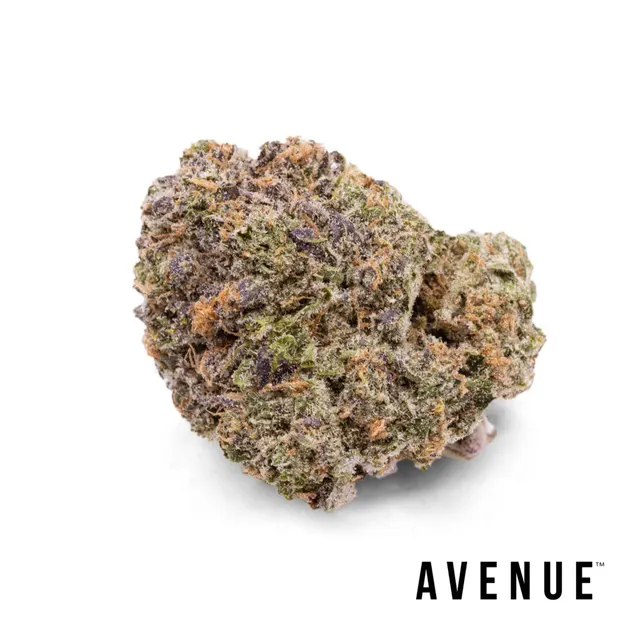 MTN Trop Cookies x Strawberry Guava Flower