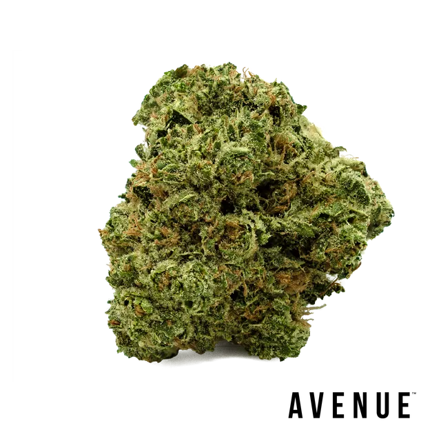 The White x C99 Flower