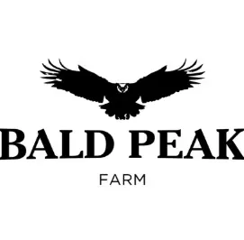 Bald Peak | CANAL STREET RUNTZ