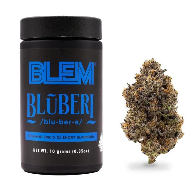 BLEM BLUBERI 10g