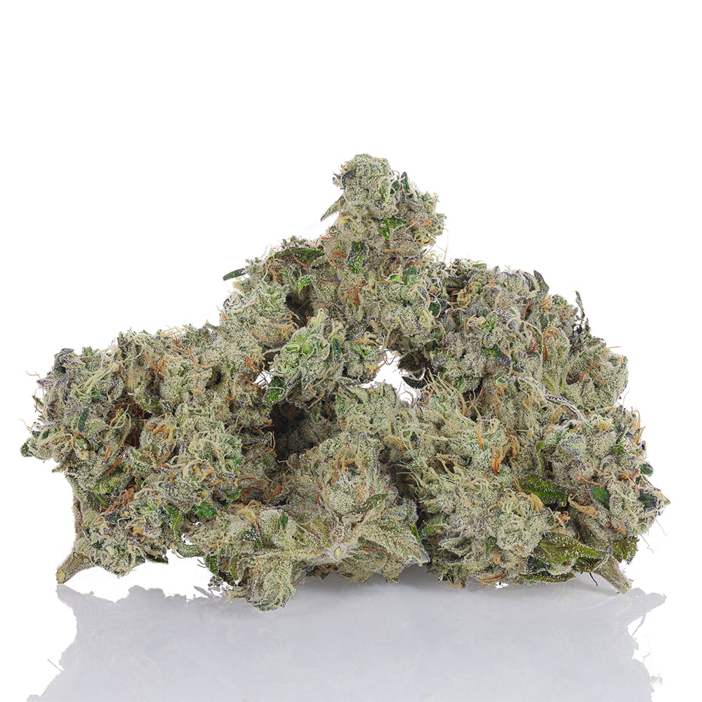 702 Headband