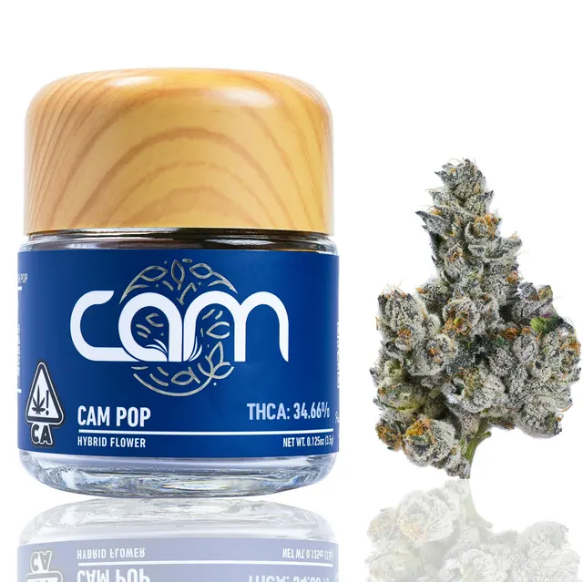 CAM | Cam Pop | Big Buds | 3.5g