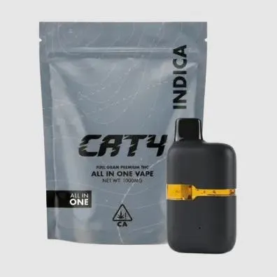 CAT4 - Strawberry Banana AIO 1000mg