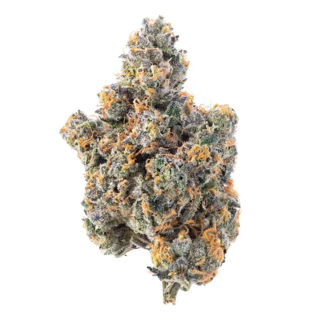 Gary Payton Flower