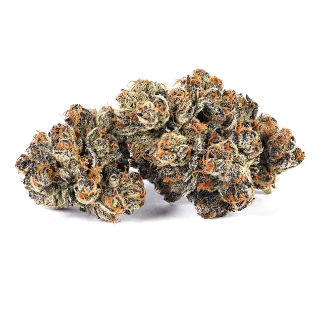 Moonwalkers Flower