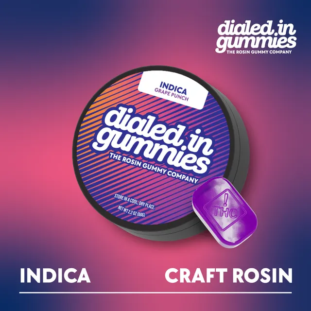 100mg - Grape Punch - Rosin Gummies (10pk)