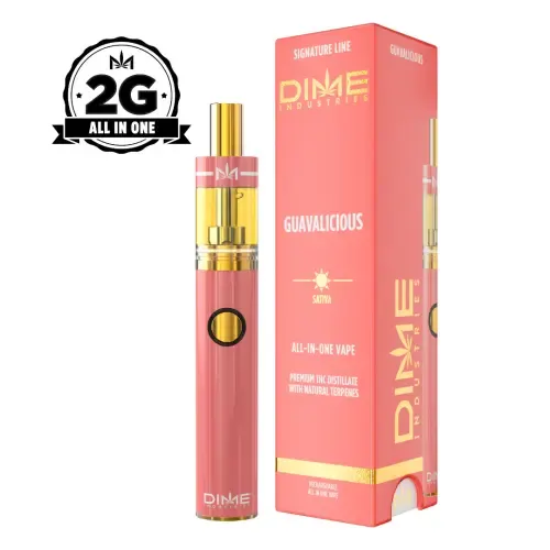 GUAVALICIOUS DISPOSABLE - 2g