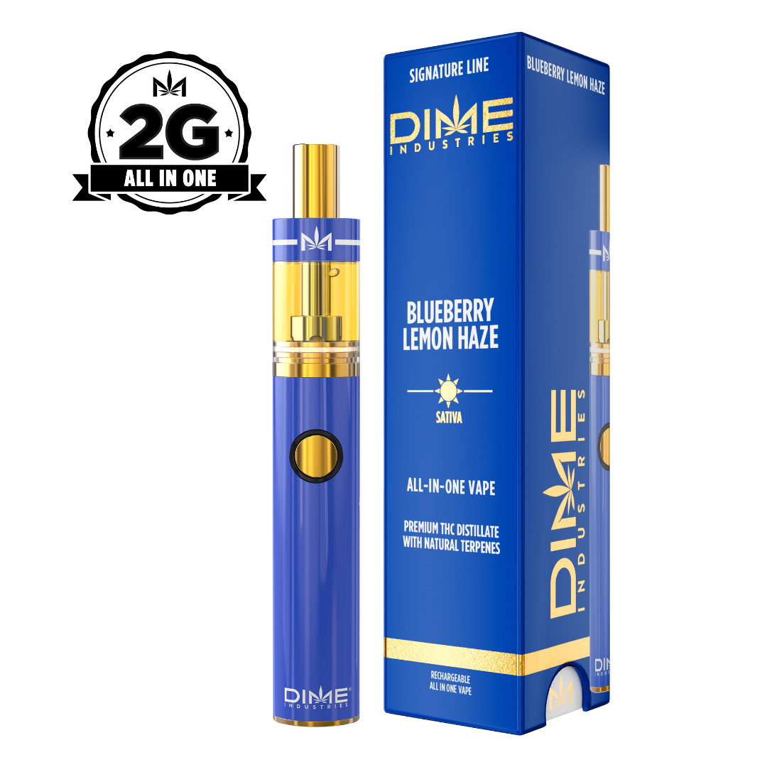 Blueberry Lemon Haze 2G All in One Device