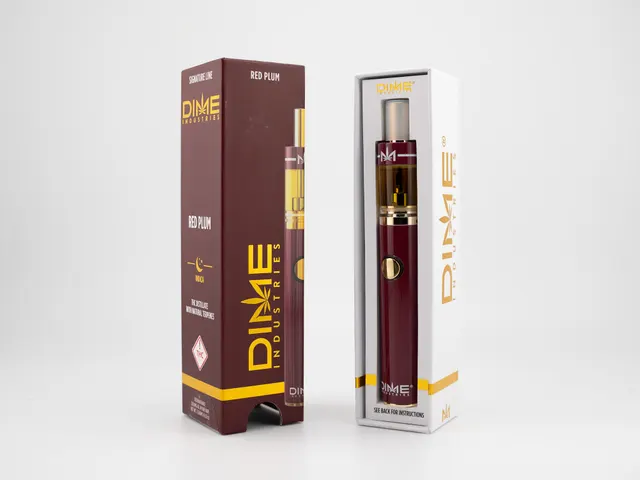 Dime Red Plum 2g All In One