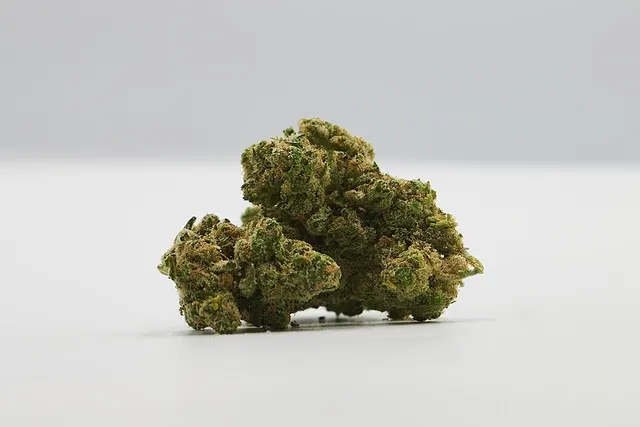 Diplomat | Flower 1g - Modified Grapes (S)