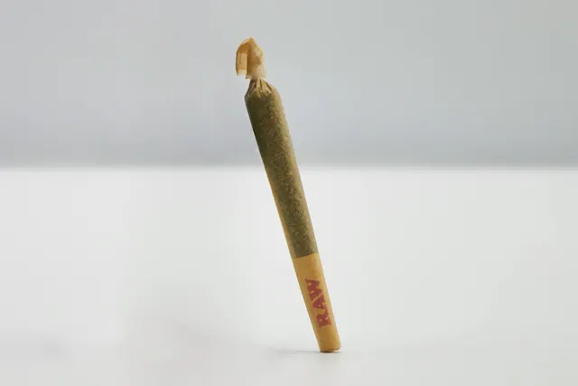 Diplomat | Preroll 1g - Sinmint (S) x Jet Fuel (S) #1