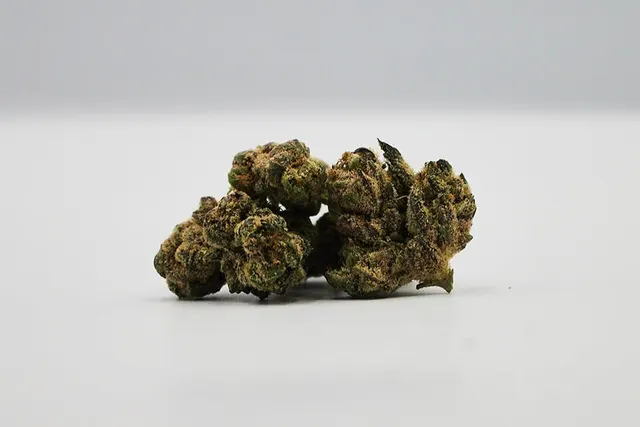 Diplomat Private Reserve | Flower 1g - Milano Cookiez (H)