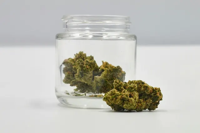 Diplomat Private Reserve | Flower 1g - Sinmint (S)