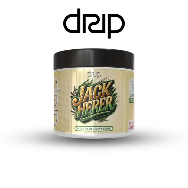 Drip - Flower - Jack Herer (S) (3.5g)