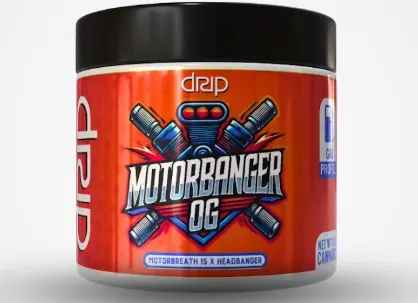 Drip - Flower - Motorbreath OG (I) (3.5g)