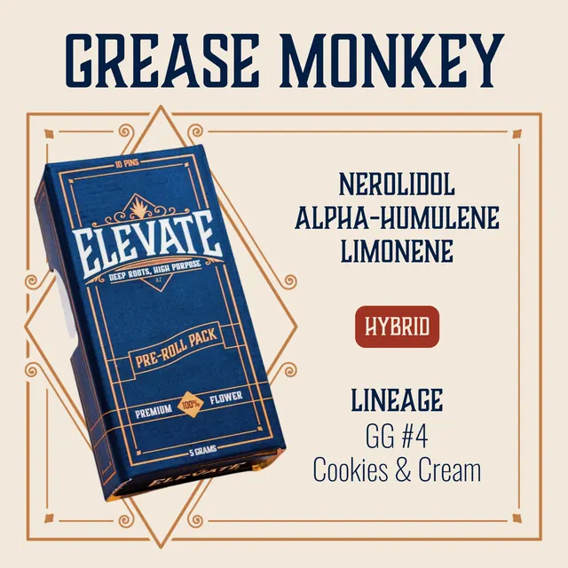 Grease Monkey Pins Pre-Roll | 10-pack