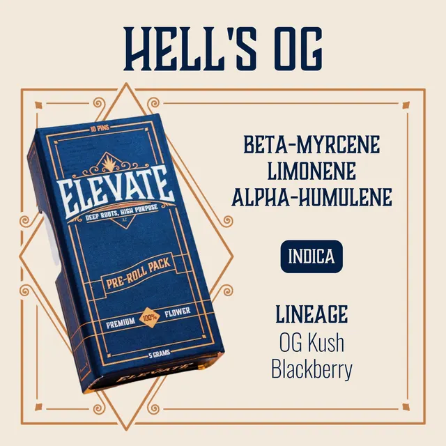 Hell's OG Pins Pre-Roll | 10-pack