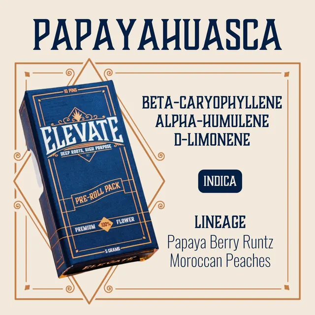 Papayahuasca Pins Pre-Roll | 10-pack