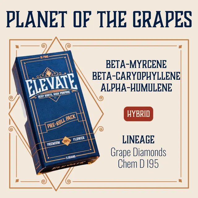 Planet Of The Grapes Pins Pre-Roll | 10-pack