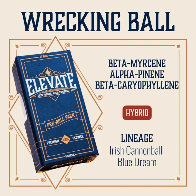 Wrecking Ball Pins Pre-Roll | 10-pack