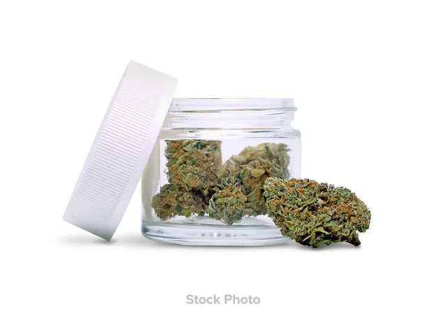 Farm Direct - Super Silver Haze