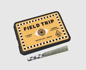 Ghost OG [H] (5pk) Pre-Roll | Field Trip