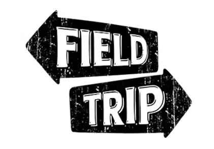 Lemon Squeezy [S] Pre-Ground Flower | Field Trip