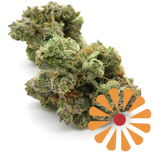 CHEMS & CHERRY - 3.5 g