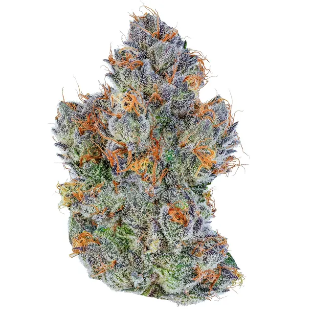 Fig Farms | Couch Rider | Big Buds