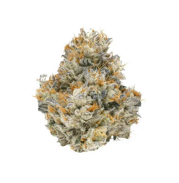 Fig Farms | Lemon Cherry Gelato | Big Buds
